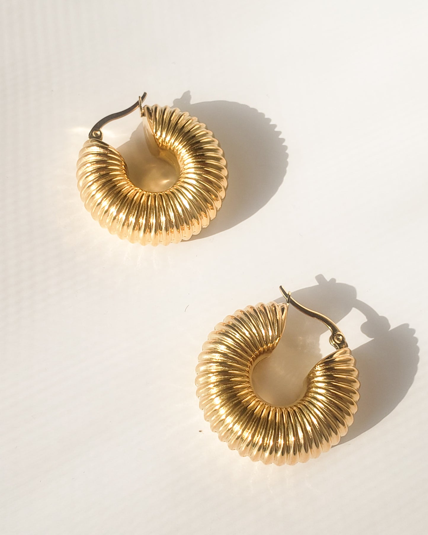 Golden Hoop Earrings