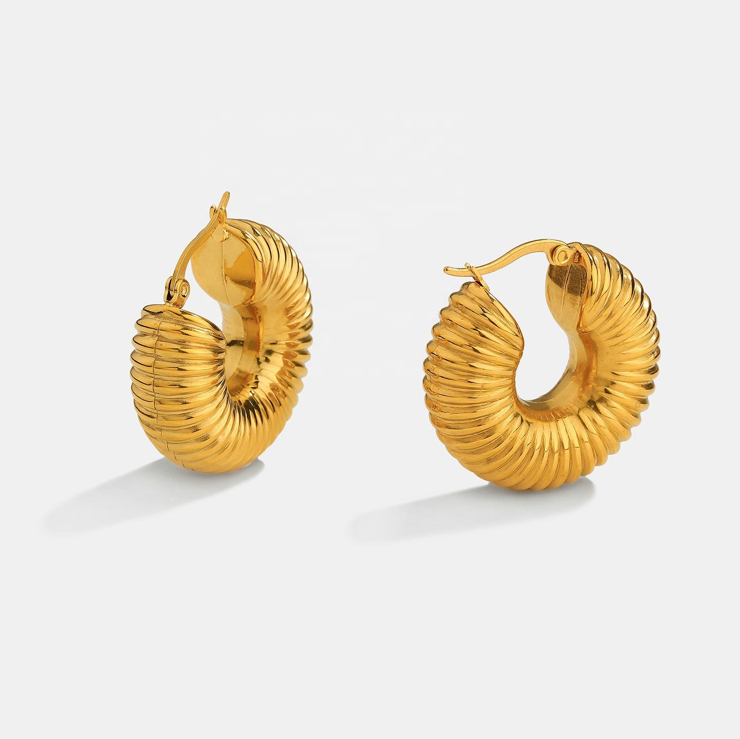 Golden Hoop Earrings