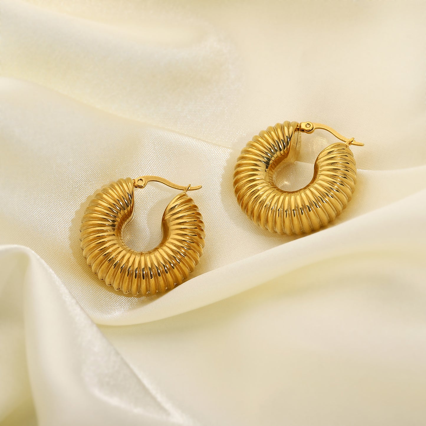 Golden Hoop Earrings